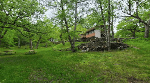 A lush green landscape featuring trees, a stone wall, and a house in the background, with picnic tables in the foreground.
