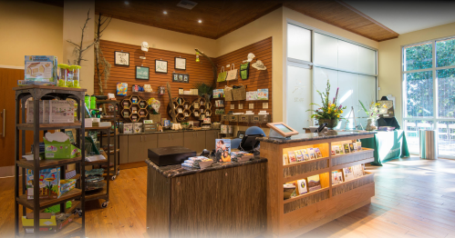 A cozy retail space with wooden decor, displaying various products and a welcoming checkout area.