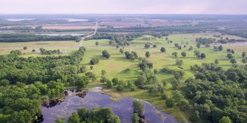 Aerial view of lush green fields, trees, and a winding road near a serene pond and distant farmland.