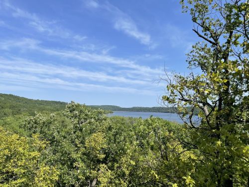 A scenic view of a lake surrounded by lush green trees under a clear blue sky.
