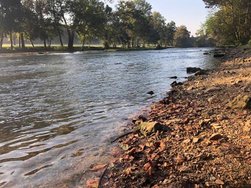 A serene riverbank scene with calm water, surrounded by trees and scattered autumn leaves on the shore.