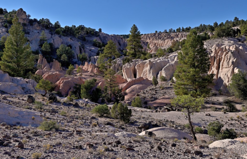 A rocky landscape with pine trees and cliffs under a clear blue sky.