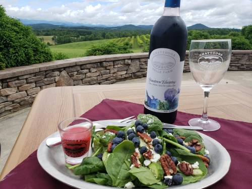 A fresh salad with blueberries and pecans, a bottle of wine, and a glass, set against a scenic vineyard backdrop.