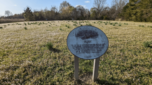 A sign in a grassy field with trees in the background, explaining the area's historical significance.