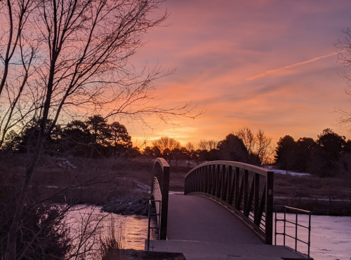 A serene sunset over a bridge, with trees silhouetted against a colorful sky reflecting on the water.