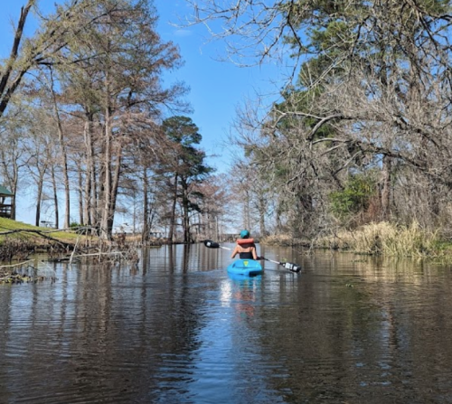 A person kayaking on a calm river surrounded by trees under a clear blue sky.