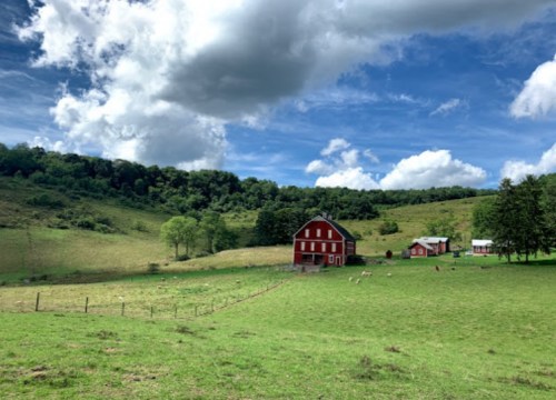 A red barn surrounded by green fields and trees under a blue sky with fluffy clouds.
