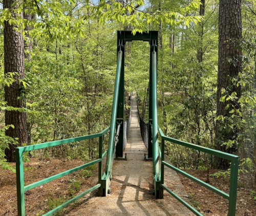 A green suspension bridge surrounded by lush trees in a forest setting.