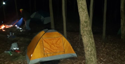 A campsite at night featuring an orange tent, a campfire, and a person preparing nearby in a wooded area.
