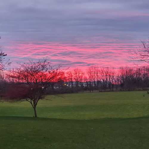 A serene landscape featuring a grassy field, bare trees, and a vibrant pink and purple sunset sky.