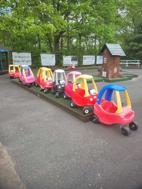 A row of colorful toy cars parked on a grassy area, with a small wooden house in the background.