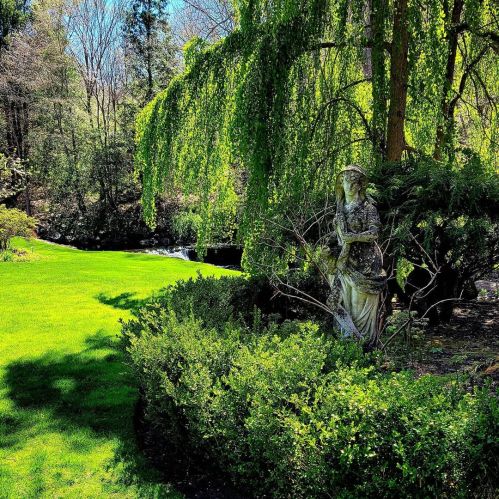 A serene garden scene featuring lush green grass, trees, and a statue partially hidden among the foliage.