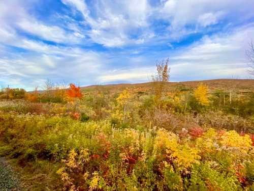 Vibrant autumn landscape with colorful foliage, rolling hills, and a blue sky dotted with clouds.