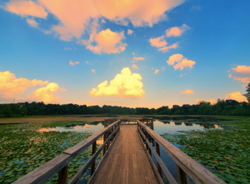 A wooden dock extends over a serene lake, surrounded by lily pads and vibrant clouds in a blue sky.