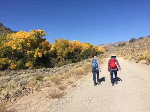 Two hikers walk along a dirt path surrounded by autumn trees and a clear blue sky.