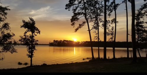 Sunset over a calm lake, with silhouettes of trees along the shore and a golden sky reflecting on the water.