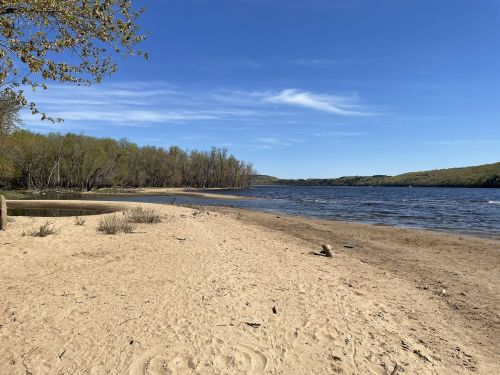 A sandy beach by a calm lake, surrounded by trees under a clear blue sky.