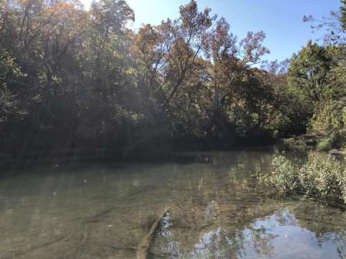 A serene river scene surrounded by trees with autumn foliage under a clear blue sky.