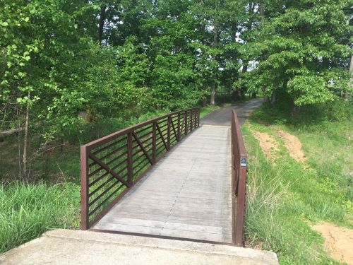 A wooden bridge with a metal railing spans a path surrounded by lush green trees and grass.