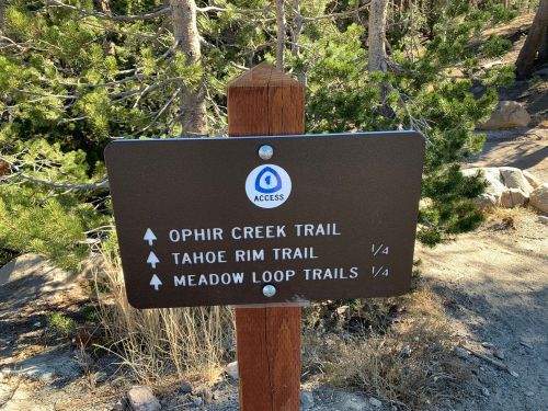 Trail sign indicating Ophir Creek Trail, Tahoe Rim Trail, and Meadow Loop Trails, all 1/4 mile ahead.