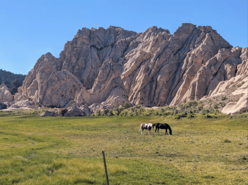 Two horses graze in a green field with rugged rock formations in the background under a clear blue sky.