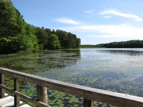 A serene lake surrounded by lush greenery, with a wooden railing in the foreground and a clear blue sky above.