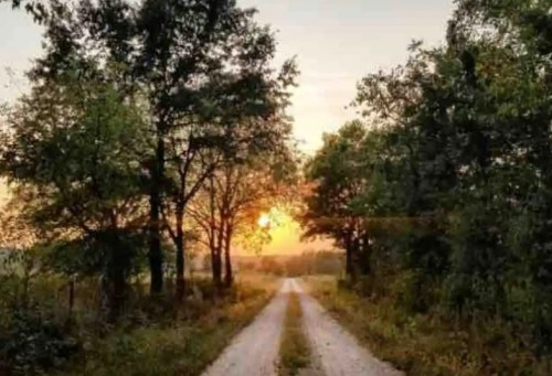 A gravel road lined with trees leads toward a sunset in a serene landscape.