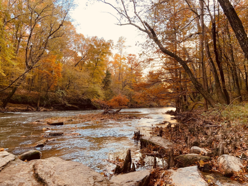 A serene river flows through a forest with vibrant autumn foliage and rocky banks, reflecting warm golden light.