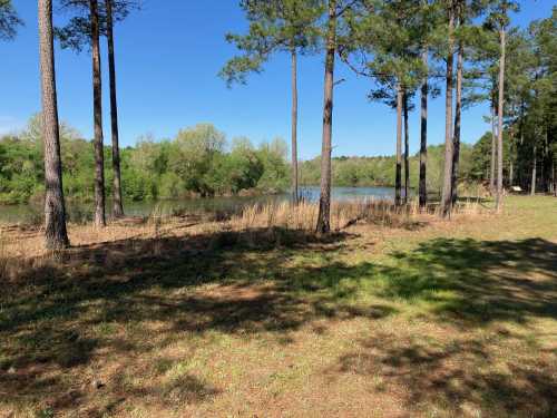 A serene landscape featuring a calm lake surrounded by trees and greenery under a clear blue sky.