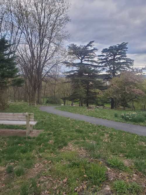 A peaceful park scene featuring a winding path, grassy areas, trees, and a wooden bench under a cloudy sky.