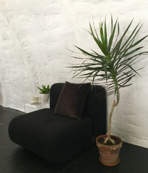 A black lounge chair with a cushion next to a potted plant in a minimalist interior setting.