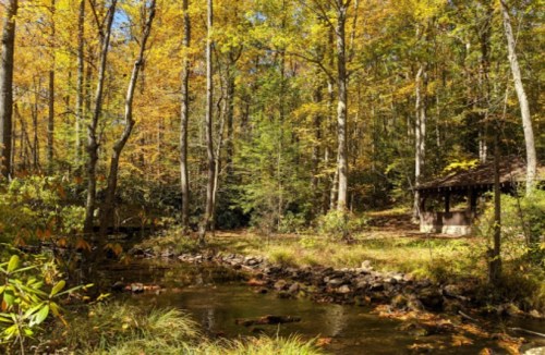 A serene forest scene with autumn foliage, a small stream, and a rustic shelter nestled among the trees.