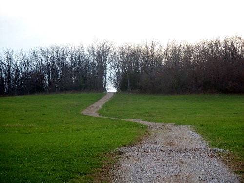 A gravel path leads through a grassy field towards a tree line under a cloudy sky.