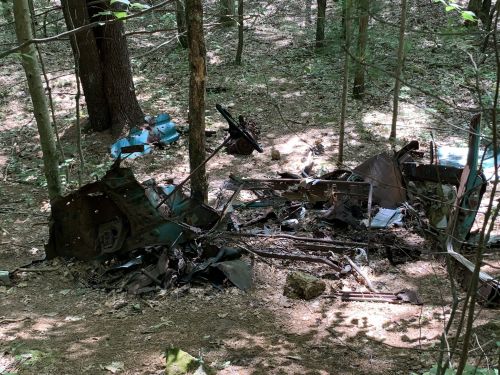A rusted vehicle wreckage partially hidden in a forest, surrounded by trees and underbrush. Sunlight filters through the leaves.