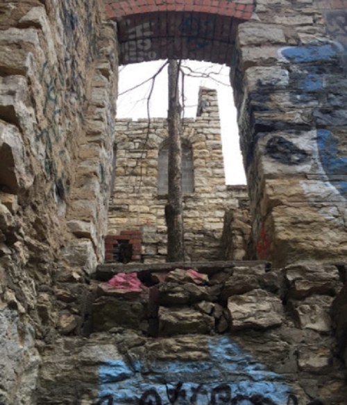 View of a stone ruin with graffiti, featuring a tree growing through an opening in the wall.