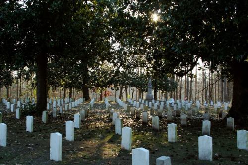 A serene cemetery with white gravestones, surrounded by tall trees and dappled sunlight filtering through the leaves.
