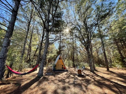 A cozy A-frame cabin surrounded by tall trees, with a hammock and a small table nearby in a serene forest setting.