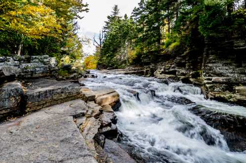 A rushing river flows through rocky terrain, surrounded by trees with autumn foliage under a partly cloudy sky.