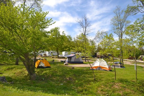 A campsite with several tents surrounded by green trees and a clear blue sky.