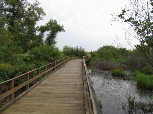A wooden bridge stretches over a calm waterway, surrounded by lush greenery and trees under a cloudy sky.