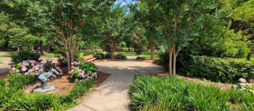 A serene park scene with pathways, lush greenery, blooming flowers, and a bench under trees on a sunny day.