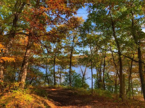 A serene forest path leads to a calm lake, surrounded by vibrant autumn foliage and clear blue skies.