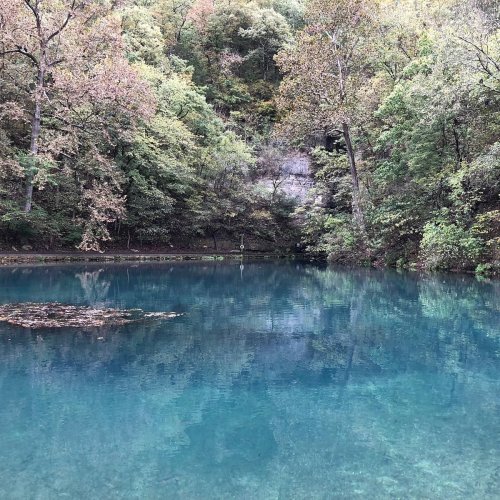 A serene, clear blue pond surrounded by lush green trees and autumn foliage.