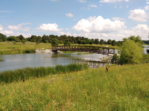 A wooden bridge spans a calm lake, surrounded by lush greenery and blue skies with fluffy clouds.