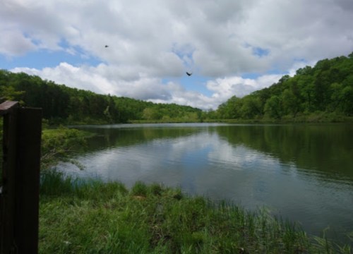 A serene lake surrounded by lush green trees under a partly cloudy sky, reflecting the landscape in the water.