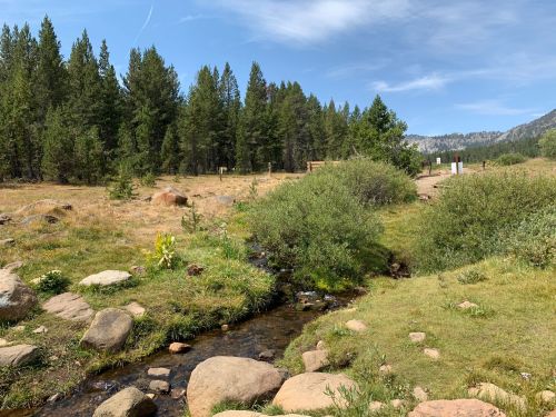 A serene landscape featuring a stream, grassy areas, and tall trees under a clear blue sky.