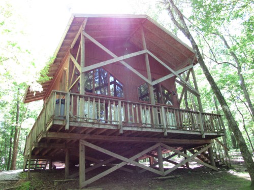 A wooden cabin with large windows, elevated on stilts, surrounded by trees in a forested area.