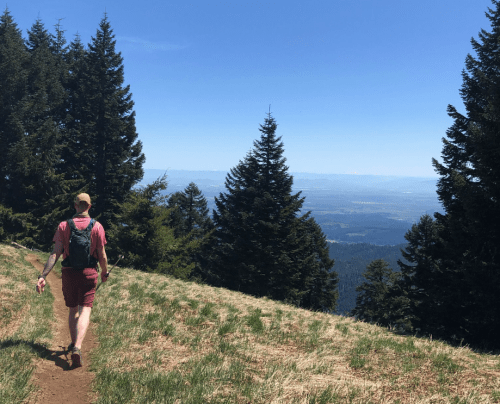 A person walks along a trail surrounded by tall trees, overlooking a scenic valley under a clear blue sky.