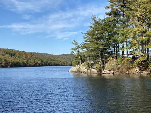 A serene lake surrounded by trees under a clear blue sky, with gentle ripples on the water's surface.