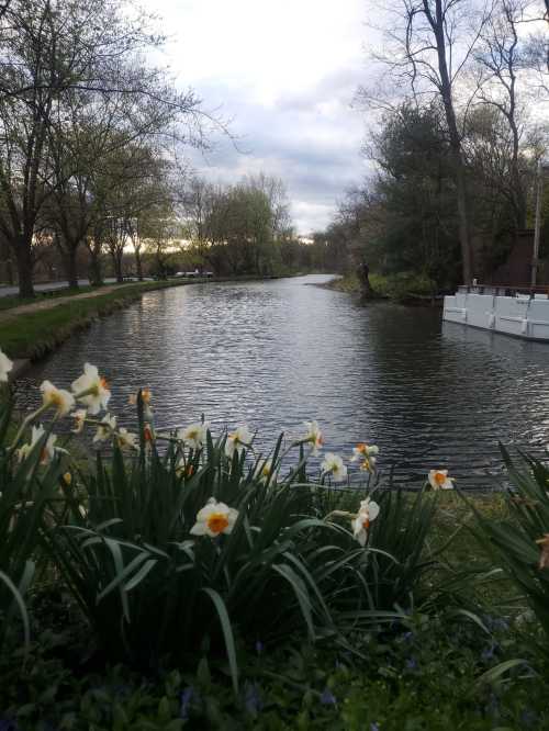 A serene river scene with blooming flowers in the foreground and trees lining the banks under a cloudy sky.